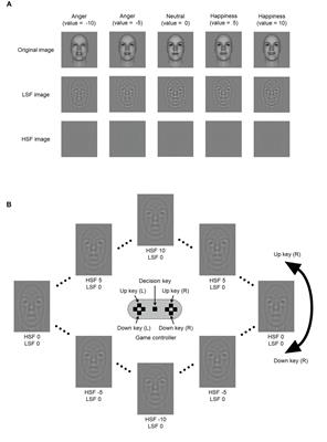 The Role of Low-Spatial Frequency Components in the Processing of Deceptive Faces: A Study Using Artificial Face Models